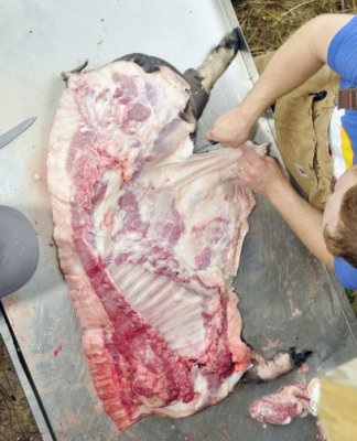 Sfaturi de la ANSVSA, pentru consumatorii de carne de porc